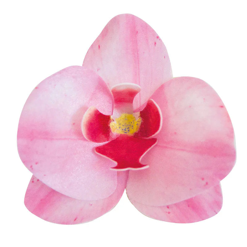Fiore decorativo Orchidea cialda 10pz| DEKORA Dekora