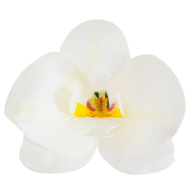 Fiore decorativo Orchidea cialda 10pz| DEKORA Dekora