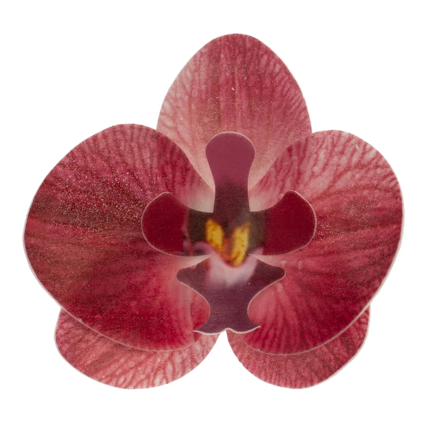 Fiore decorativo Orchidea cialda 10pz| DEKORA Dekora