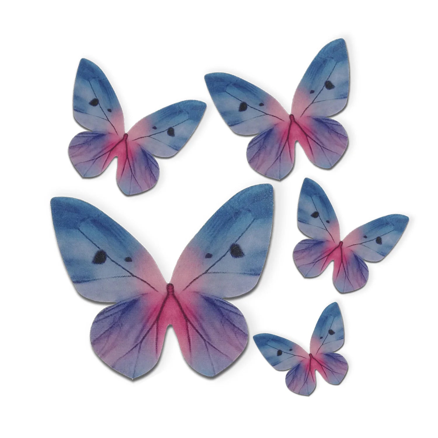 Farfalle cialda toni blu 79pz| DEKORA Dekora