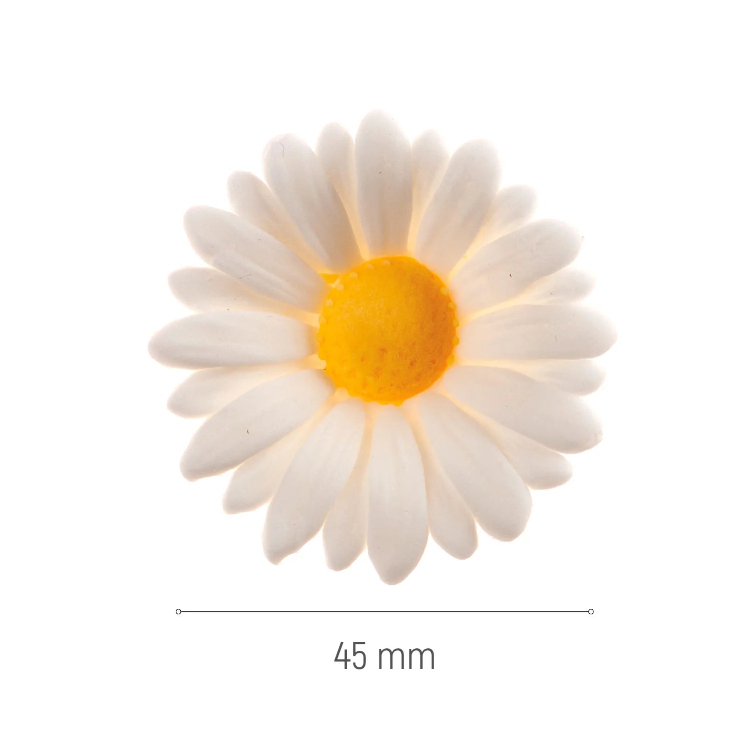 Fiore margherita decorativo di zucchero 48pz| DEKORA Dekora