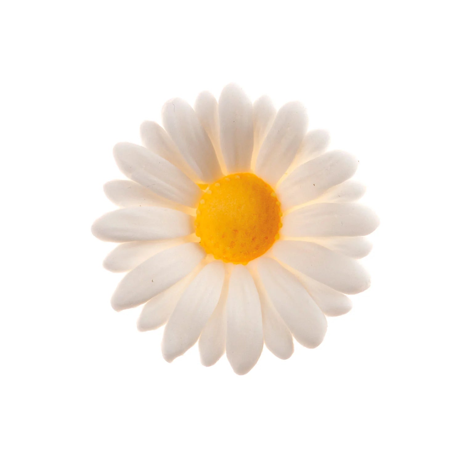 Fiore margherita decorativo di zucchero 48pz| DEKORA Dekora