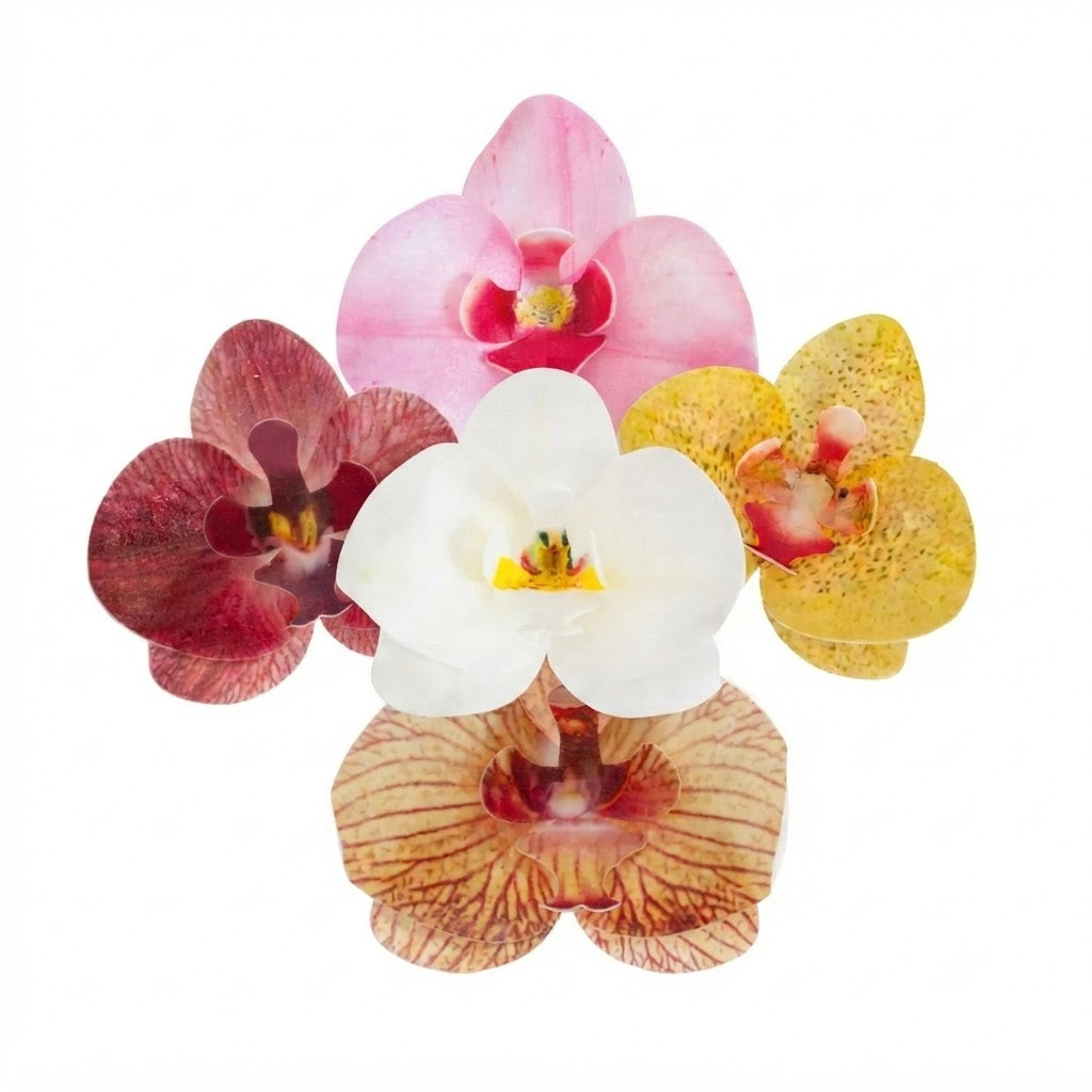 Fiore decorativo Orchidea cialda 10pz| DEKORA Dekora