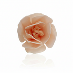 Magnolia in wafer bianche 6.5-7cm 6pz | DEKORA Dekora