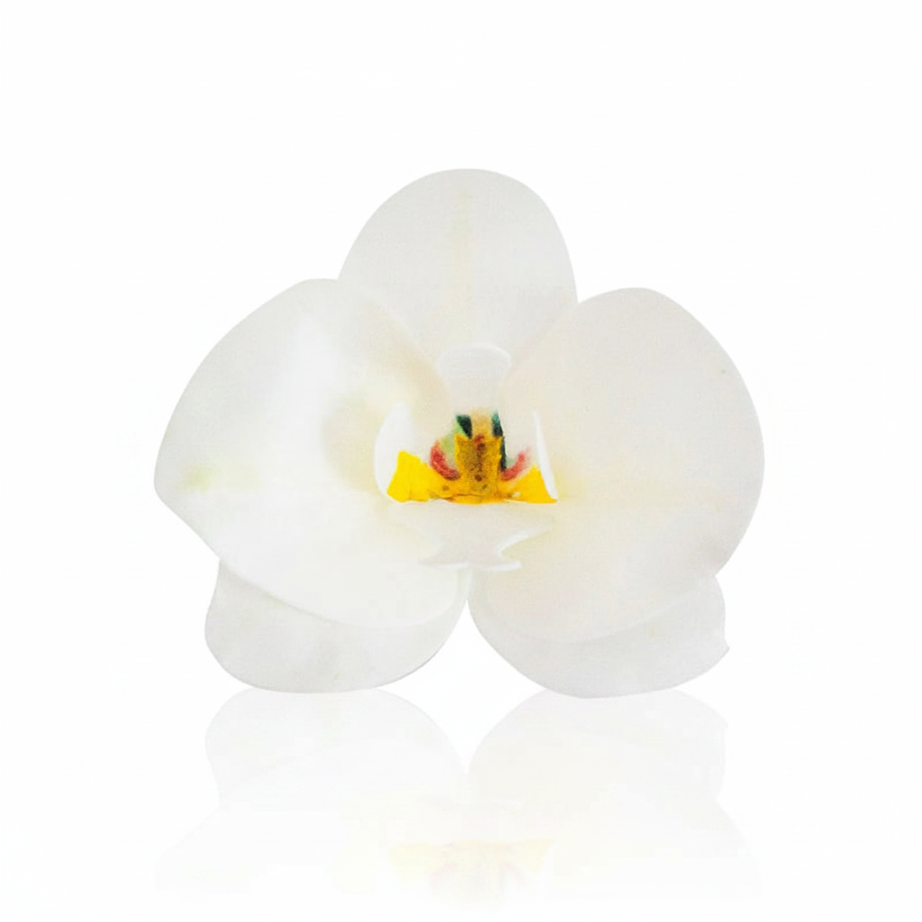 Fiore decorativo Orchidea in cialda 10pz| DEKORA Dekora