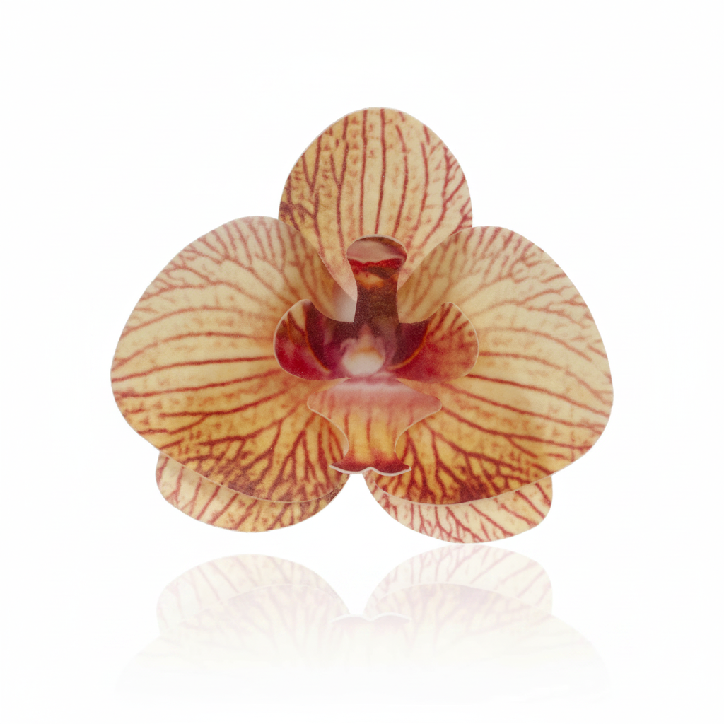 Fiore decorativo Orchidea in cialda 10pz| DEKORA Dekora