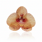 Fiore decorativo Orchidea in cialda 10pz| DEKORA Dekora