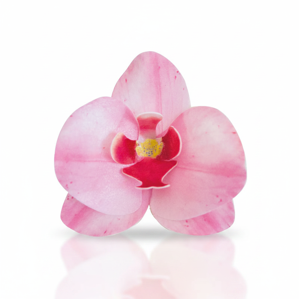 Fiore decorativo Orchidea in cialda 10pz| DEKORA Dekora