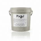 Pinguì Coperture per gelato 3Kg | DISIO Disio